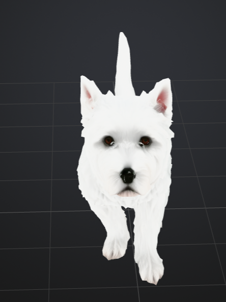 Milo the Westie dog